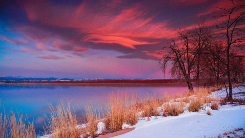 Wonderful Purple Sunset and Lake with Snowed Forest