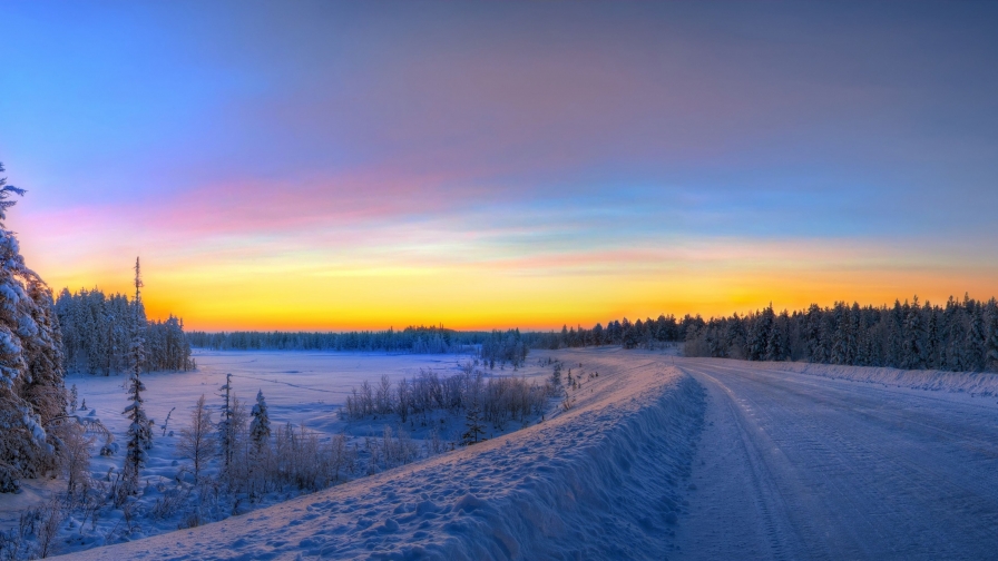 Wonderful Snowy Winter Forest and Road