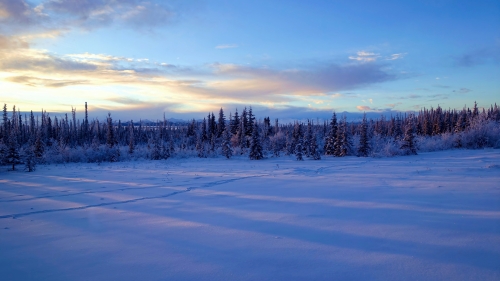 Wonderful Sunset Valley and Pine Forest