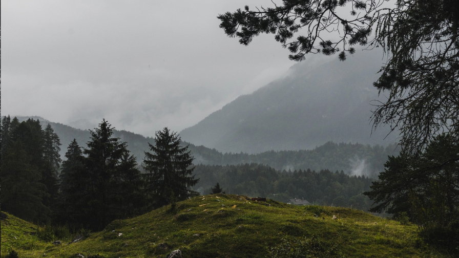 Wonderful Valley in Bavaria Alps