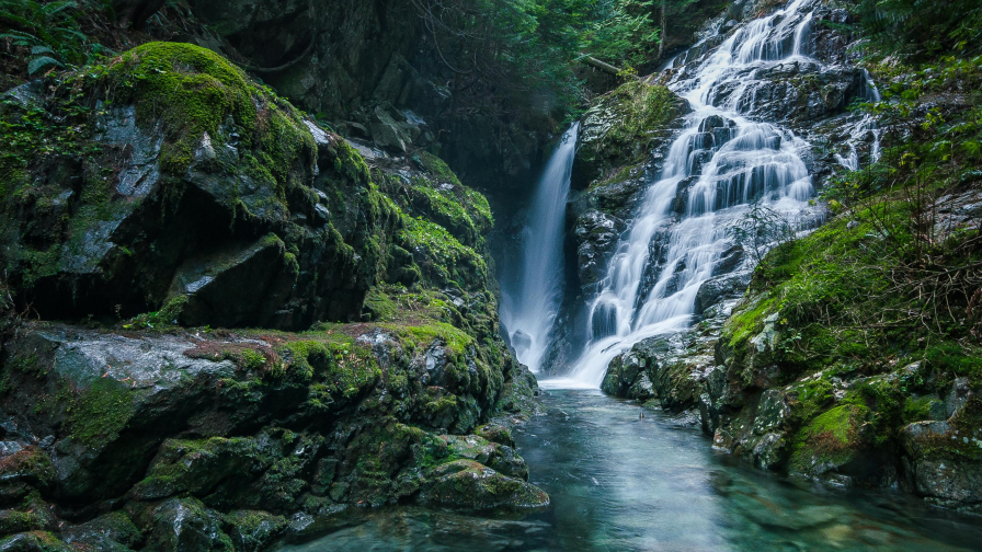 Wonderful Waterfall and Rocks in Green Forest