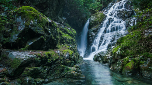 Wonderful Waterfall and Rocks in Green Forest