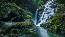 Wonderful Waterfall and Rocks in Green Forest