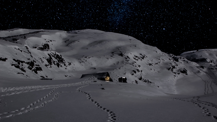 Wonderful Winter Field and House