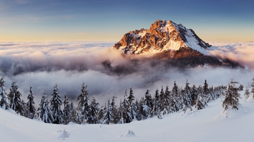 Wonderful Winter Forest and Mountains with Clouds