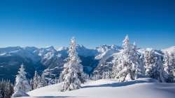 Wonderful Winter Forest and Mountains