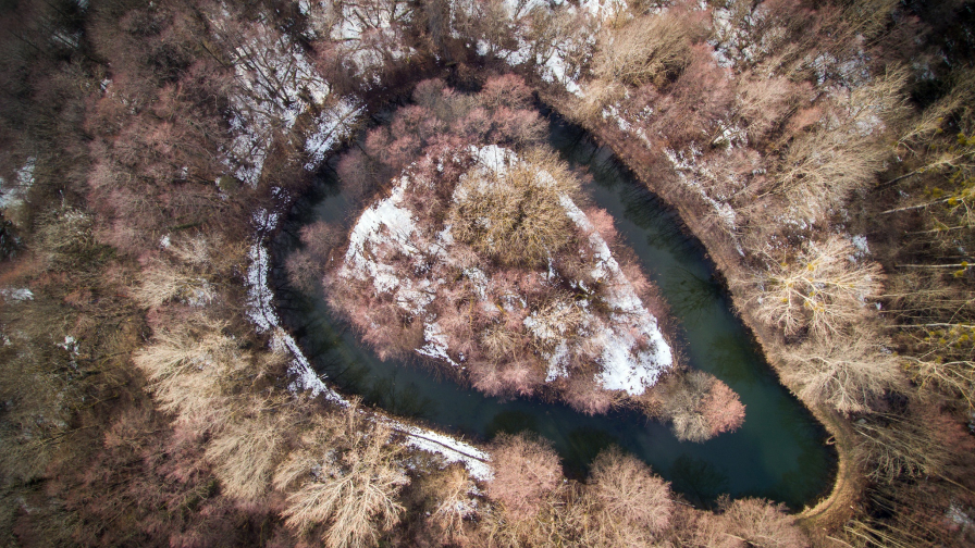 Wonderful Winter Forest and Small Lake with Island