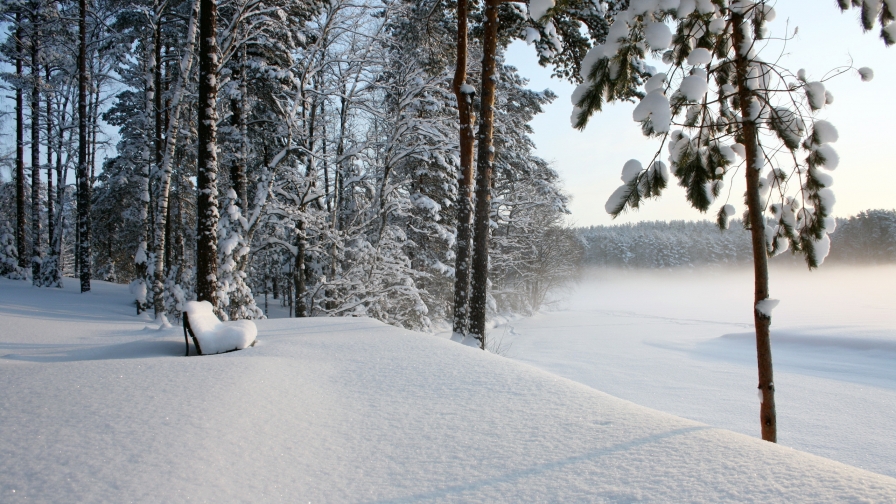 Wonderful Winter Lake in Forest and Snowed Trees