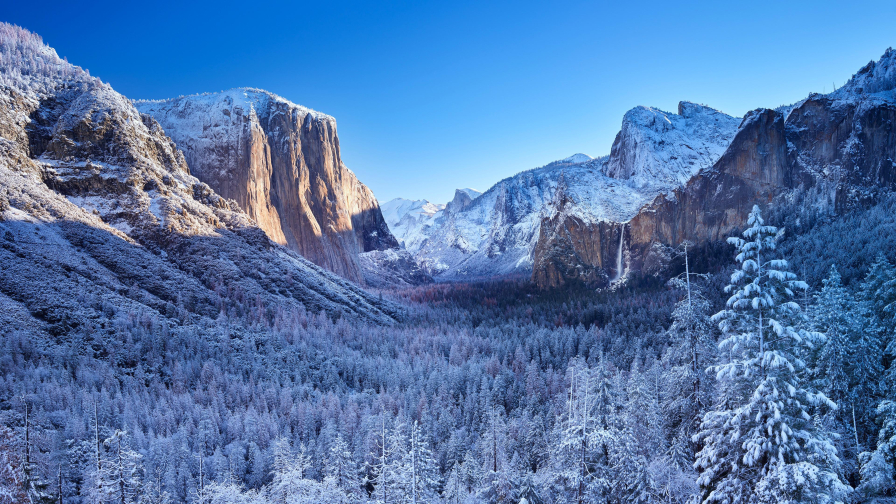 Wonderful Yosemite Winter Morning