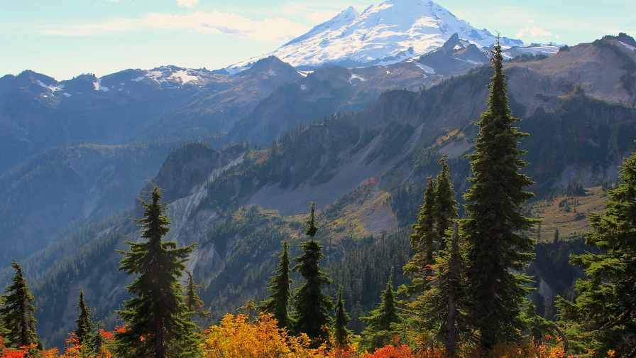 Yellow grass and green trees in mountain valley