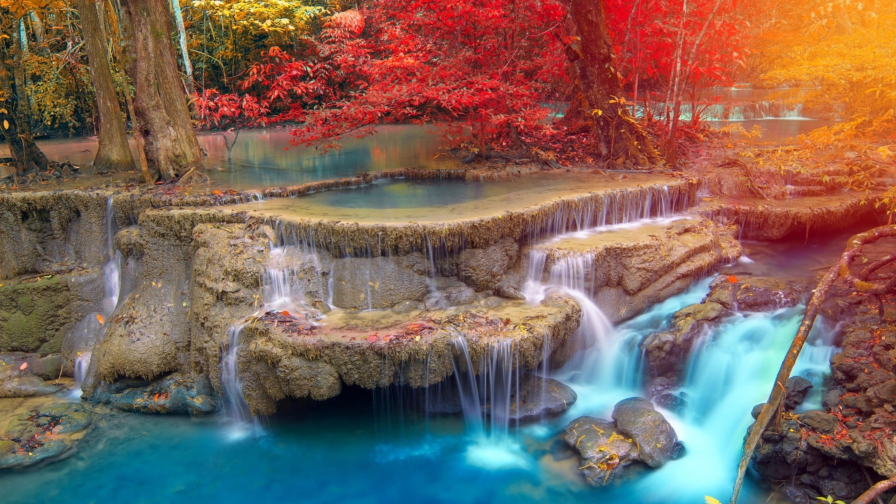 Yellow Red Autumn Forest on Stream Waterfall