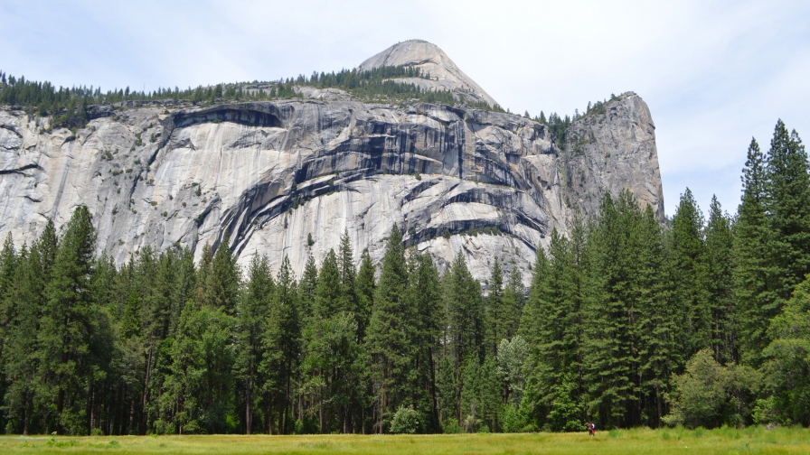 Yosemite green forest and mountains